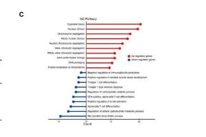 医疗科研新发现 | 菁易科研解读小鼠急性昼夜节律失调的分子特征