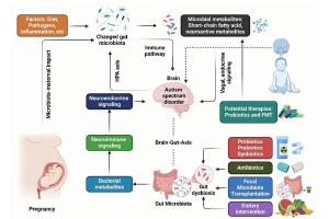 医疗科研新突破 | 菁易科研解读微生物群-肠脑连接与神经精神疾病关联