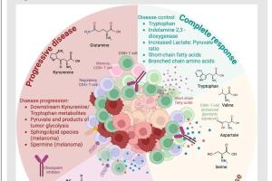 医疗科研新发现 | 菁易科研解读肠道微生物代谢物对免疫治疗的优化作用