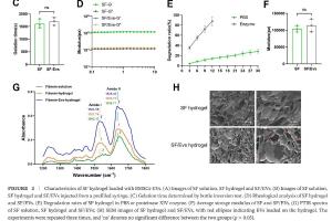 医疗科研新突破 | 菁易科研解读：丝素蛋白水凝胶如何助力椎间盘退变治疗？