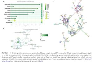 医疗科研新发现 | 菁易科研解读植物胞外囊泡参考标志物研究