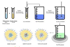 医疗科研新突破 | 菁易科研解读：PLGA纳米颗粒助力帕金森病治疗新策略