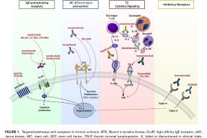 医疗科研新突破 | 菁易科研解读慢性自发性荨麻疹全身治疗进展