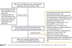 医疗科研新突破 | 菁易科研解读：术前MRI分割椎旁肌评估创伤性臂丛神经损伤