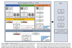 医疗科研新突破 | 菁易科研解读：术前术后CT影像结合临床数据预测动脉瘤预后