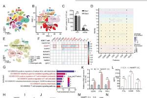 医疗科研新发现 | 菁易科研解读：NAD+代谢如何助力卵巢癌T细胞抗肿瘤？