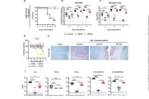 医疗科研新发现 | 菁易科研解读：高结合力如何克服抗甲病毒抗体Fc效应功能需求？