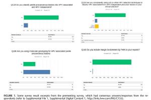 医疗科研新共识 | 菁易科研解读阴茎癌前病变分类与检测规范