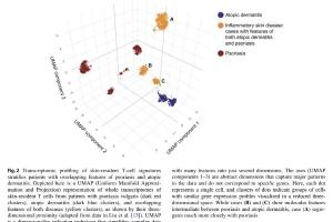医疗科研新方向 | 菁易科研聚焦：精准医学如何革新炎症性皮肤病治疗？