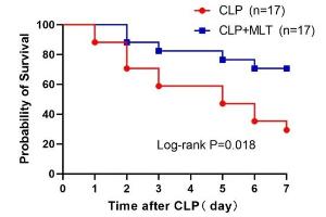 医疗科研新发现 | 菁易科研解读：褪黑素如何改善脓毒症小鼠生存率？