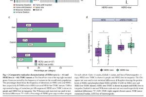 医疗科研新发现 | 菁易科研解读HER2低表达三阴性乳腺癌免疫逃逸机制