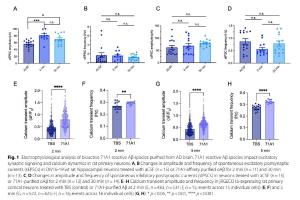 医疗科研新突破 | 菁易科研解读：改进免疫测定法检测生物流体Aβ寡聚体