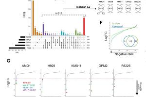 医疗科研新发现 | 菁易科研解读CRISPR - Cas13d揭示长非编码RNA癌症依赖性