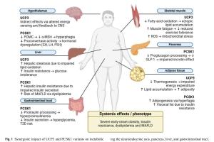 医疗科研新发现 | 菁易科研解析UCP3和PCSK1变异与重度肥胖的关联